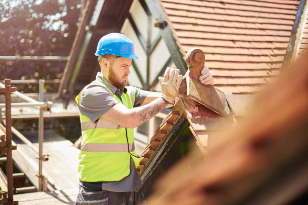 Best Roof Gutter Cleaning  in Laurens, SC